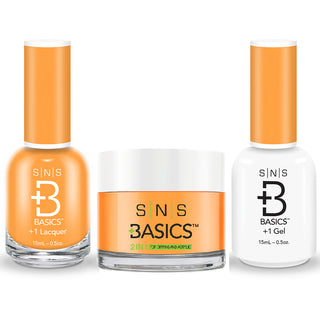  SNS Basics 3 in 1 - Basics 197 by SNS sold by DTK Nail Supply