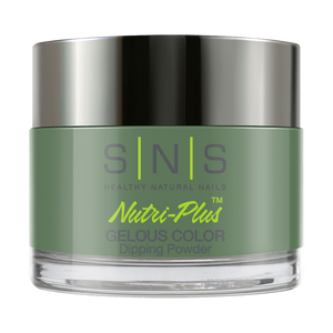  SNS Dipping Powder Nail - BOS 10 - 1oz by SNS sold by DTK Nail Supply