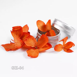  Dried Flowers For Nail Art GH04 by OTHER sold by DTK Nail Supply