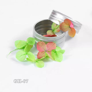 Dried Flowers For Nail Art GH07 by OTHER sold by DTK Nail Supply