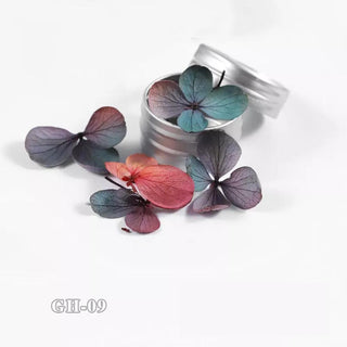  Dried Flowers For Nail Art t GH09 by OTHER sold by DTK Nail Supply