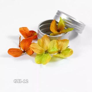  Dried Flowers For Nail Art GH12 by OTHER sold by DTK Nail Supply