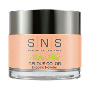 SNS Dipping Powder Nail - N10 by SNS sold by DTK Nail Supply