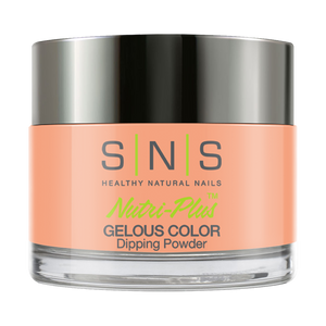  SNS Dipping Powder Nail - N20 - 1oz by SNS sold by DTK Nail Supply