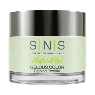  SNS Dipping Powder Nail - AC11 by SNS sold by DTK Nail Supply