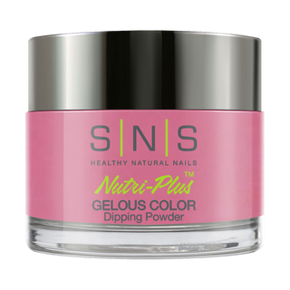  SNS Dipping Powder Nail - BC01 by SNS sold by DTK Nail Supply