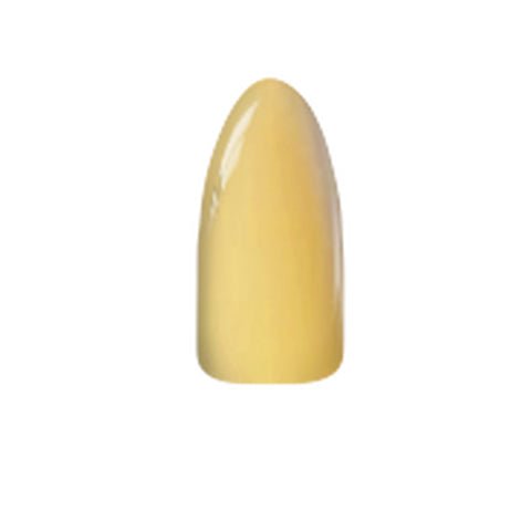 Chisel Acrylic & Dip Powder - S196 - DTK Nail Supply