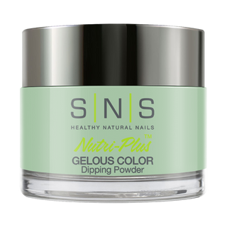  SNS Dipping Powder Nail - DW10 - Golf Coast by SNS sold by DTK Nail Supply