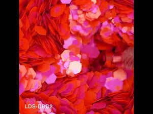 LDS Glitter Nail Art - DBD02 0.5 oz
