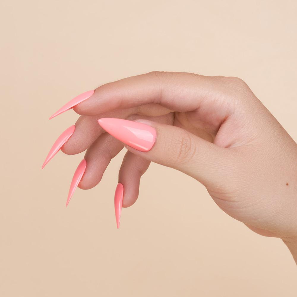 Lavis Gel Nail Polish Duo - 005 Flier - DTK Nail Supply
