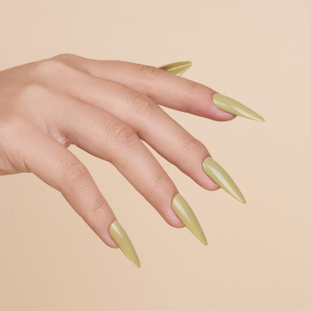 Lavis Gel Nail Polish Duo - 036 Bamboo Winds - DTK Nail Supply
