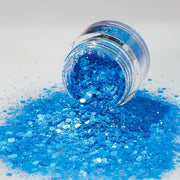 LDS Glitter Nail Art - DBD05 0.5 oz - DTK Nail Supply