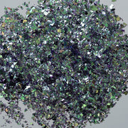 LDS Irregular Flakes Glitter DIG24 0.5 oz - DTK Nail Supply