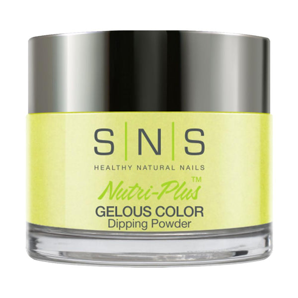  SNS Dipping Powder Nail - SG09 Fern Gully - 1oz by SNS sold by DTK Nail Supply