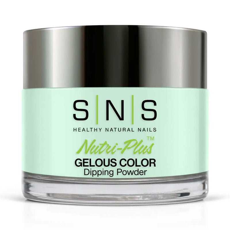 SNS Dipping Powder Nail - DR08 - 1oz - DTK Nail Supply
