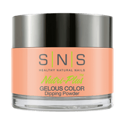 SNS Dipping Powder Nail - N20 - DTK Nail Supply