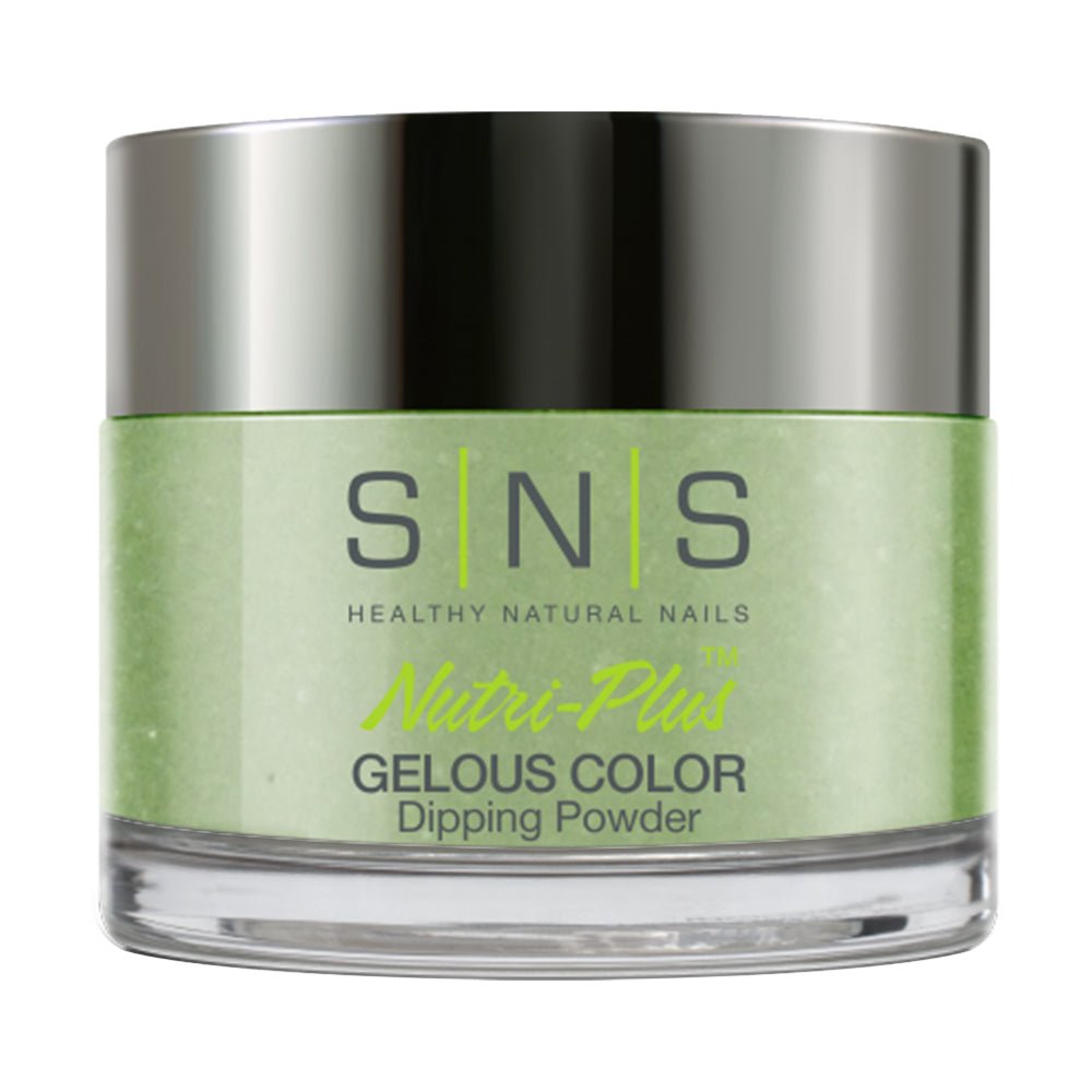 SNS Dipping Powder Nail - SG11 - Mandalay Hill - DTK Nail Supply