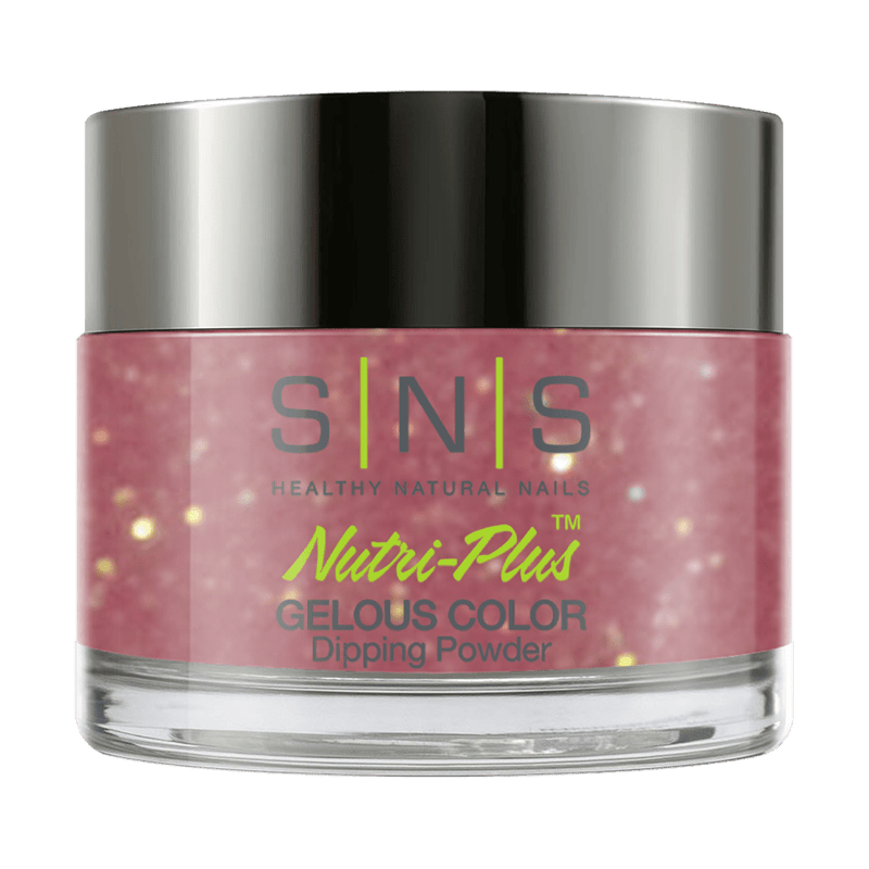 SNS Dipping Powder Nail - WW13 - Secret Santa - DTK Nail Supply